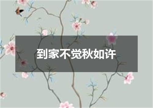 到家不觉秋如许