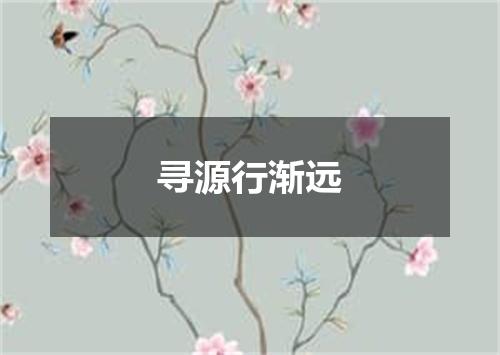 寻源行渐远