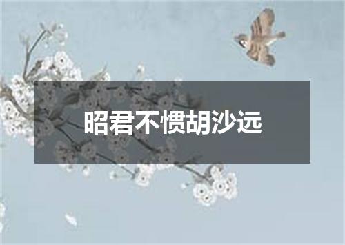 昭君不惯胡沙远