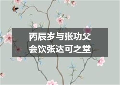 丙辰岁与张功父会饮张达可之堂