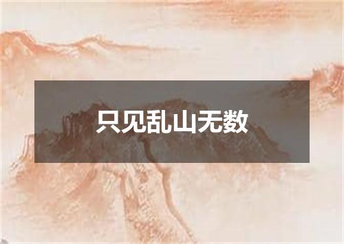 只见乱山无数