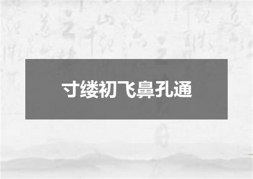 寸缕初飞鼻孔通