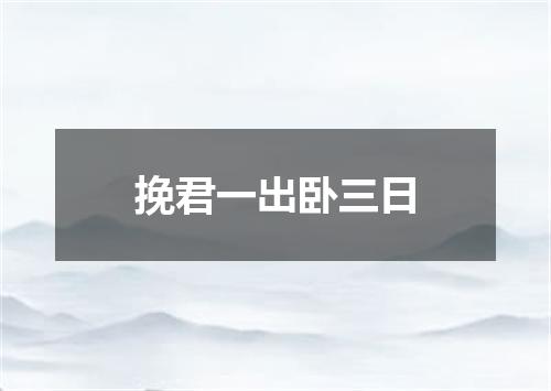 挽君一出卧三日