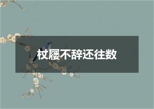 杖屦不辞还往数