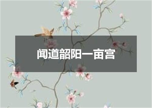 闻道韶阳一亩宫