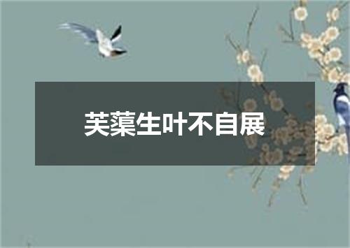 芙蕖生叶不自展