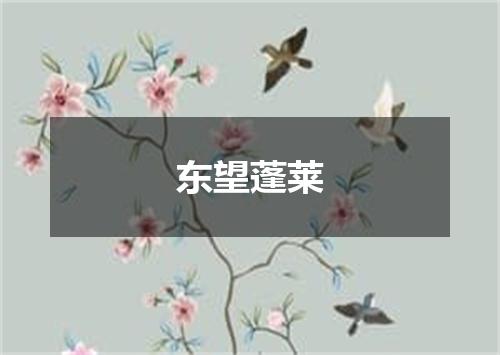 东望蓬莱