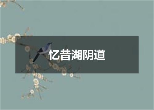 忆昔湖阴道