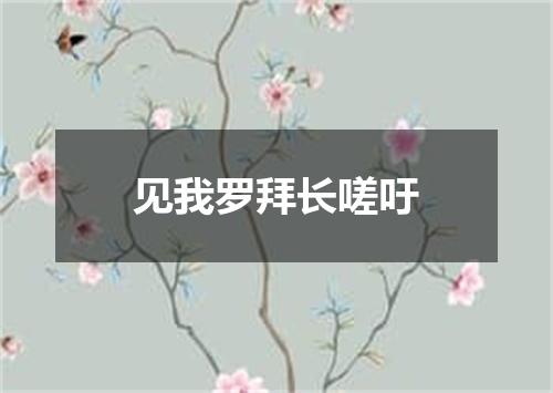 见我罗拜长嗟吁