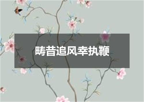 畴昔追风幸执鞭