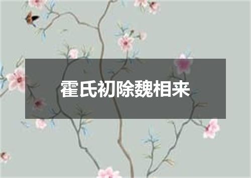 霍氏初除魏相来