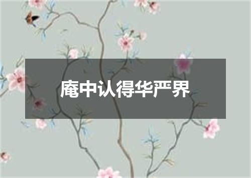 庵中认得华严界