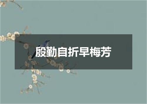 殷勤自折早梅芳