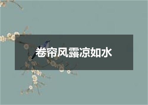 卷帘风露凉如水