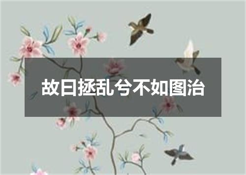 故曰拯乱兮不如图治