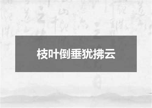 枝叶倒垂犹拂云