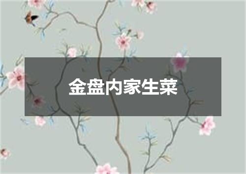 金盘内家生菜