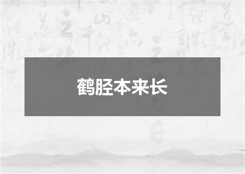 鹤胫本来长