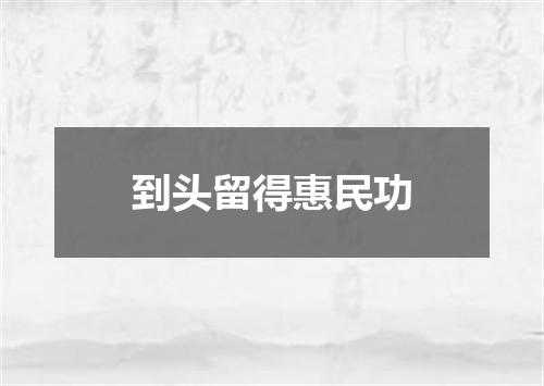 到头留得惠民功