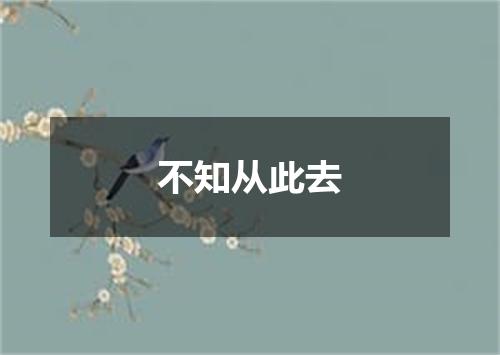 不知从此去