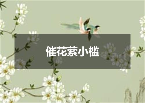 催花萦小槛