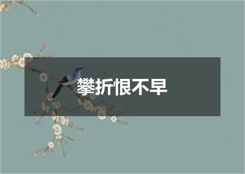 攀折恨不早