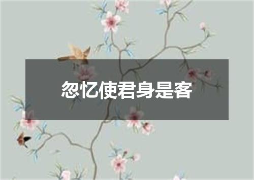 忽忆使君身是客