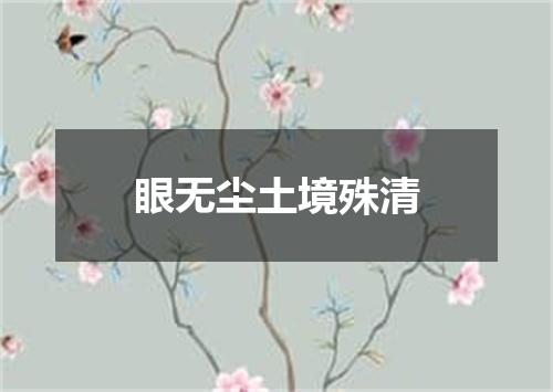 眼无尘土境殊清