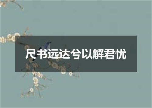 尺书远达兮以解君忧