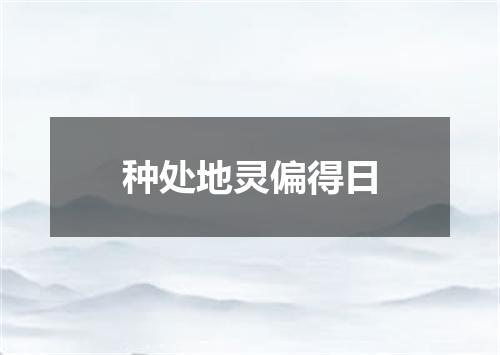 种处地灵偏得日