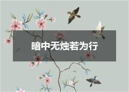 暗中无烛若为行