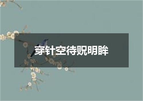 穿针空待贶明眸