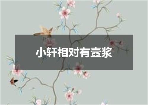 小轩相对有壼浆