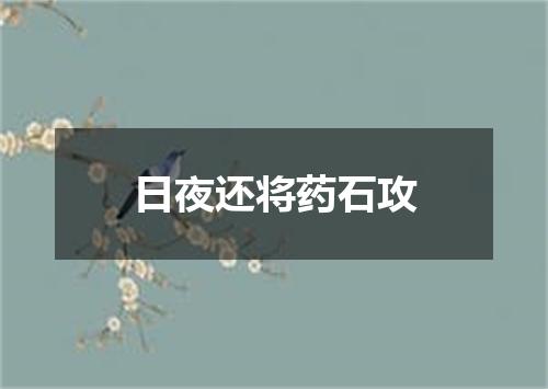 日夜还将药石攻