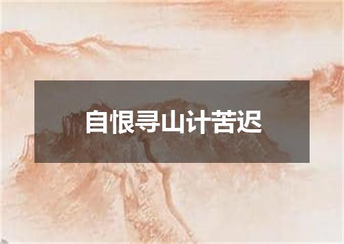 自恨寻山计苦迟