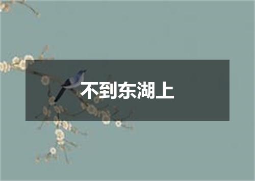 不到东湖上