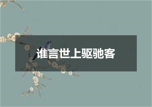 谁言世上驱驰客