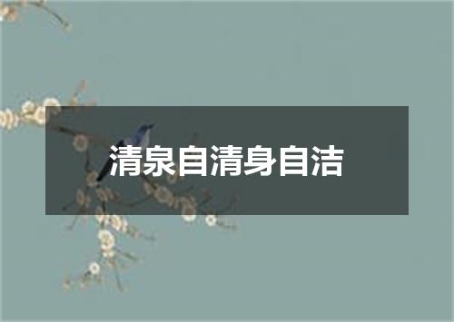 清泉自清身自洁