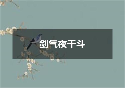 剑气夜干斗