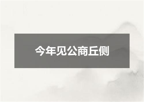 今年见公商丘侧