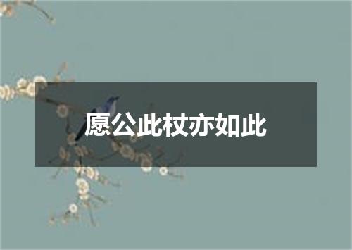 愿公此杖亦如此