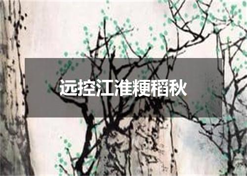 远控江淮粳稻秋