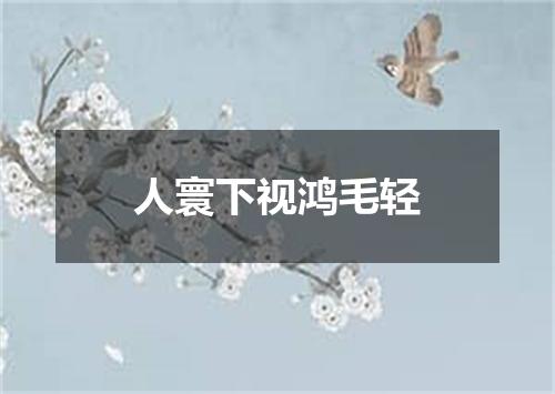 人寰下视鸿毛轻