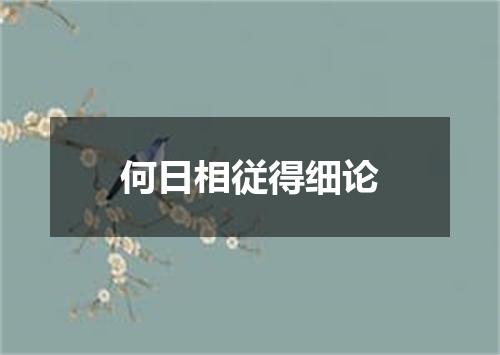 何日相従得细论