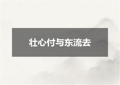 壮心付与东流去