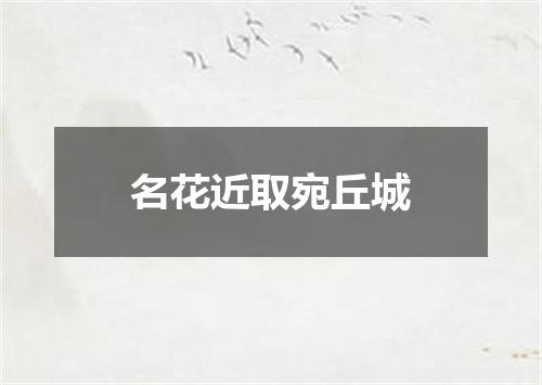 名花近取宛丘城