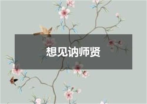 想见讷师贤