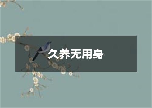 久养无用身