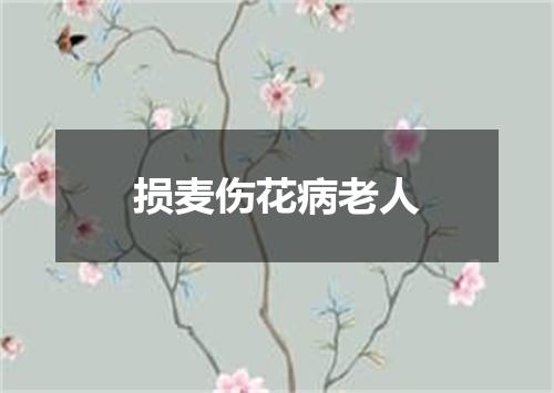 损麦伤花病老人