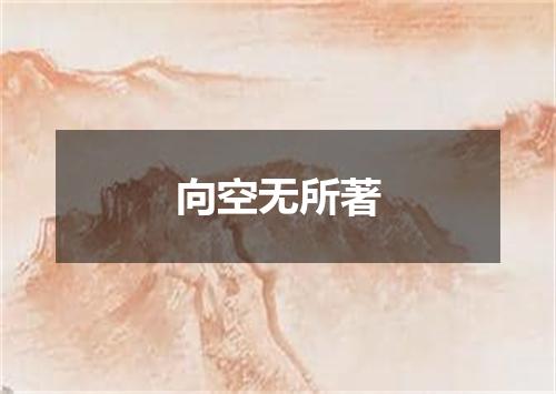 向空无所著